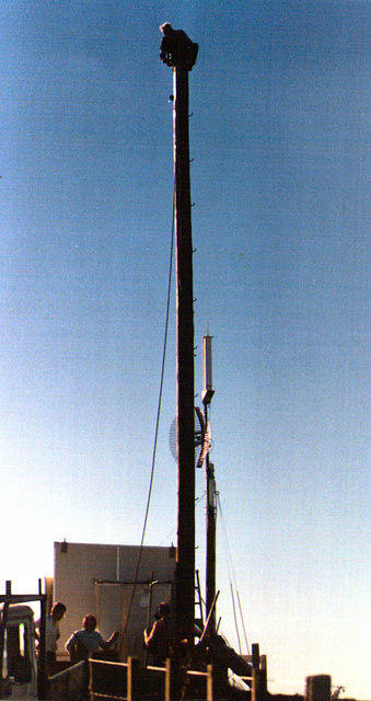 Peter ZL2TDI up the pole working on installing 690's antenna system